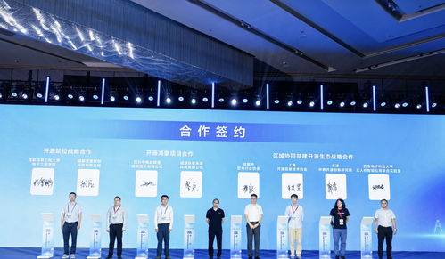 85條供需信息集中發布，成都開源生態建設大會引領軟件技術推廣新浪潮